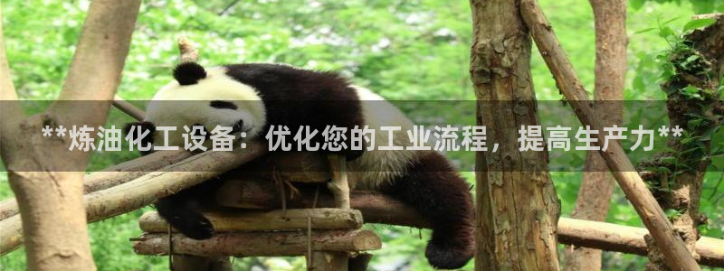 新城平台登录密码忘了怎么办
