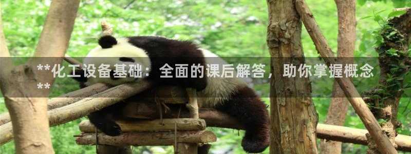 新城平台终7O777