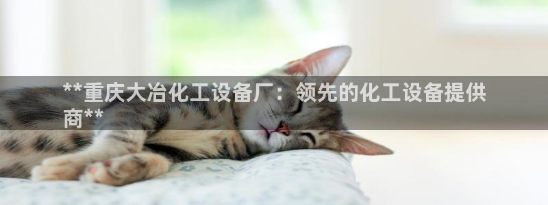 新城平台官网注册账号