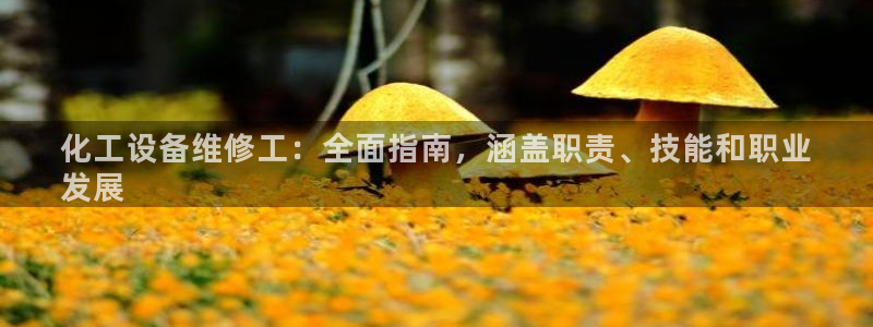 新城平台线路登录不上去