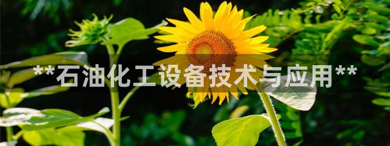 新城平台线路登录不上去怎么办呀