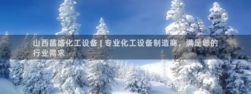 新城平台是干嘛的公司有哪些
