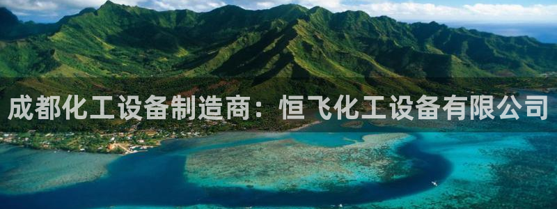 新城平台公司