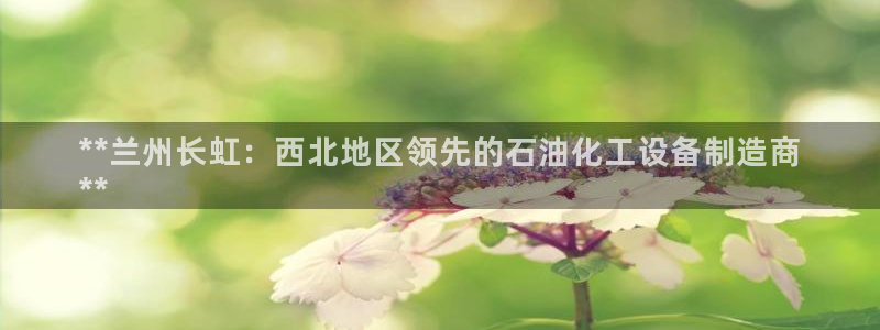 新城平台平台