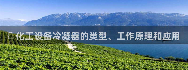 新城平台代理怎么样