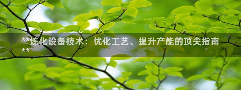 新城平台注册资金多少