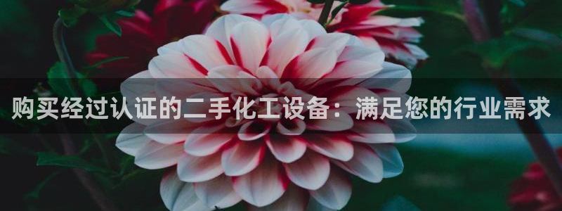 新城平台线路登录不上去怎么回事呢