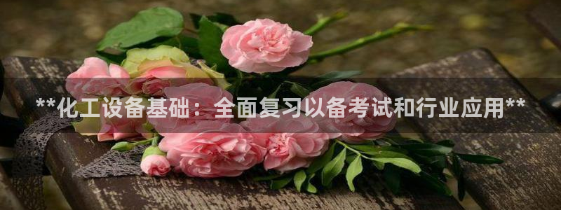 新城平台登录入口官网网址是什么