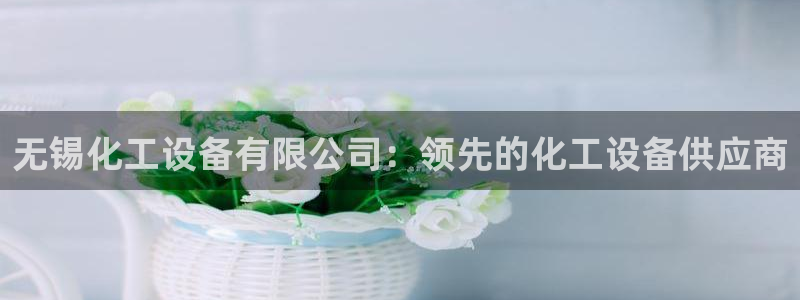 新城平台登录入口网址