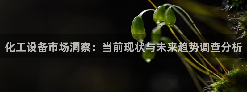 新城平台登录入口官网查询信息