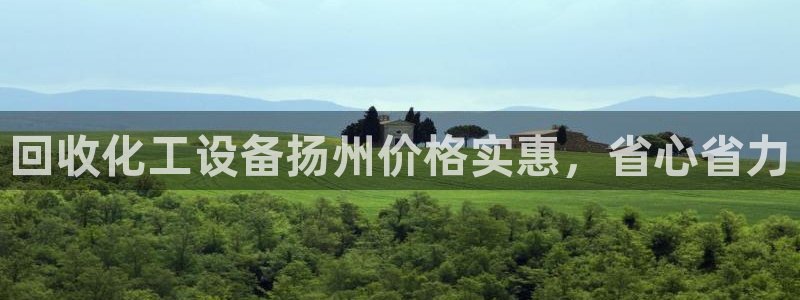 新城平台登录入口官网首页查询
