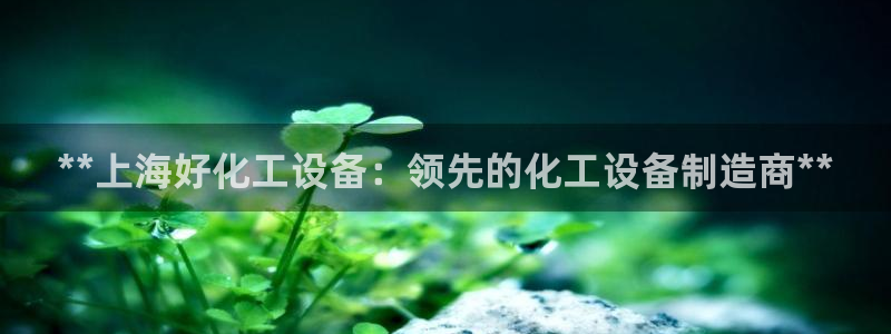 新城平台平台最新活动信息
