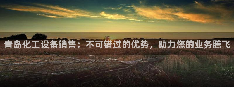 新城平台总代