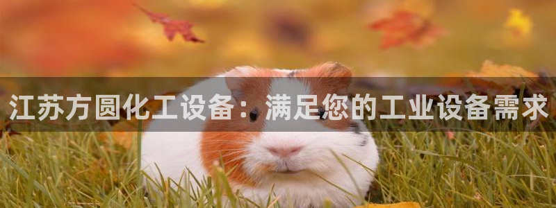 新城平台注册登录地址