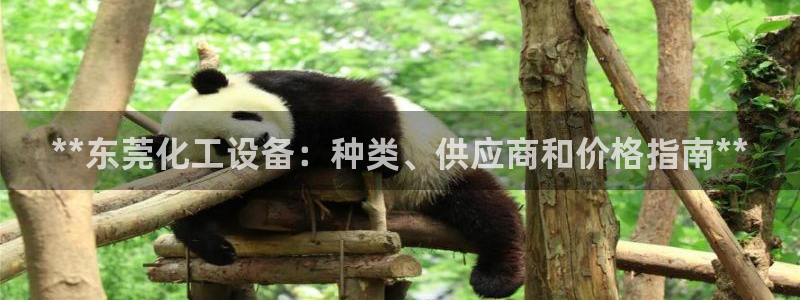 新城平台线路登录不上去怎么回事儿