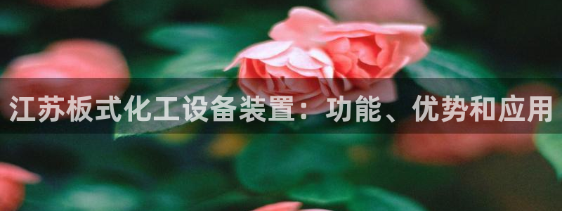 新城平台登录入口官网查询信息