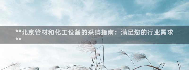 新城平台注册公司流程视频