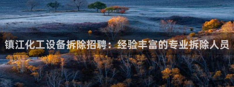 新城平台总代理是谁