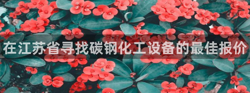 新城平台负责人名单