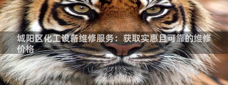 新城平台登录