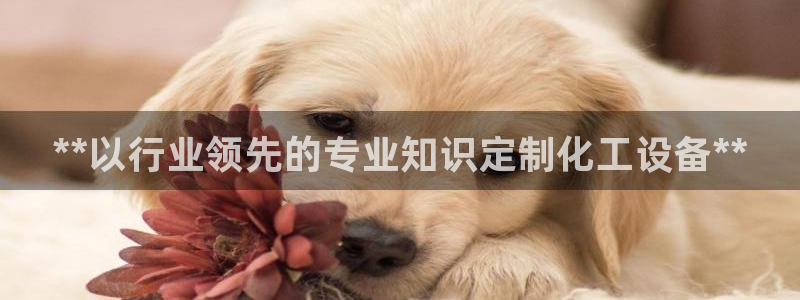 新城平台分分彩