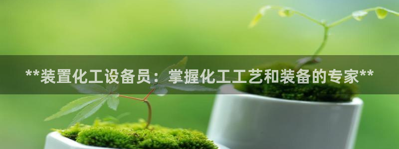 新城平台线路登录不上去了怎么回事