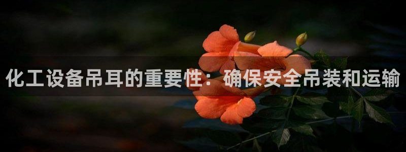 新城平台官网首页网址