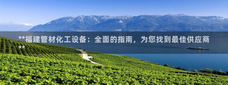 新城平台登录入口官网下载