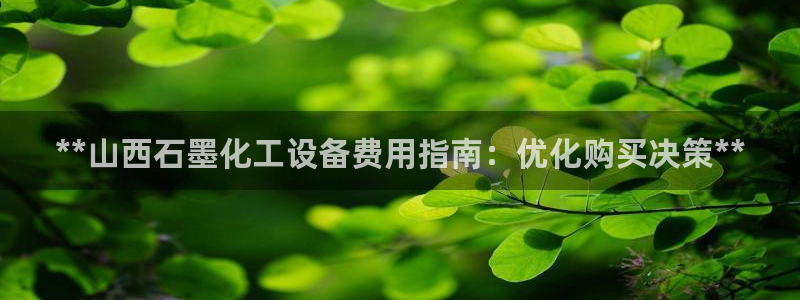 新城平台总代理是谁