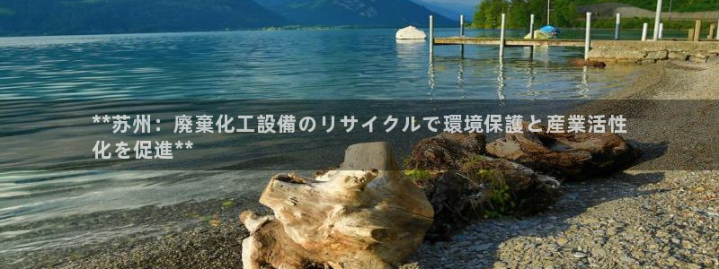 新城平台登录密码忘了