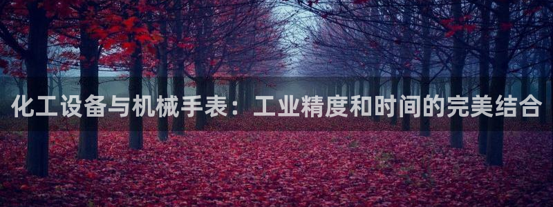新城平台总代