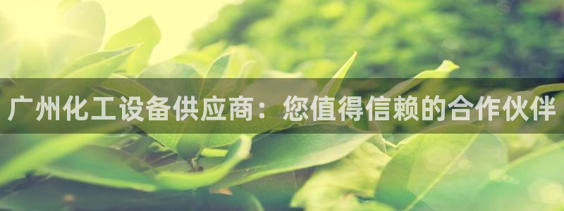 新城平台