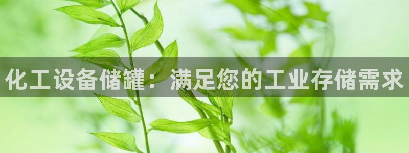 新城平台线路登录不上去怎么回事儿