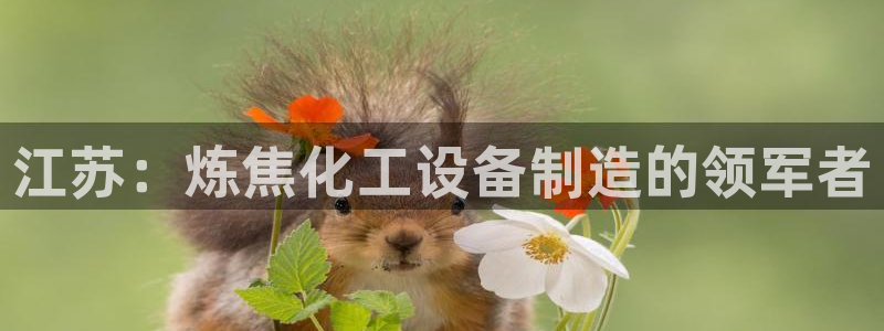新城平台注册网址查询