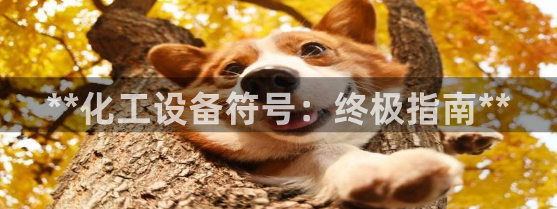 新城平台负责人名单