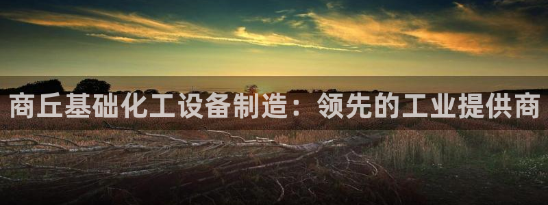 新城平台登录入口网址