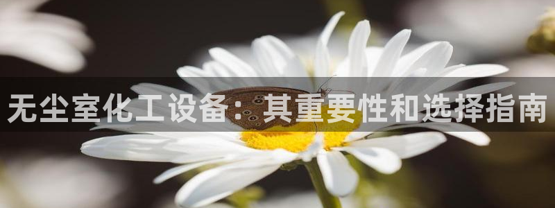 新城平台总代