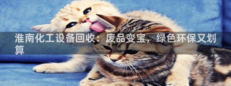 新城平台招商