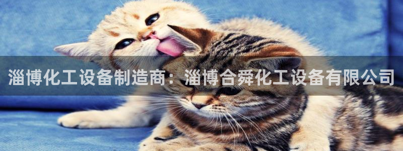 新城平台线路登录不上去了怎么回事