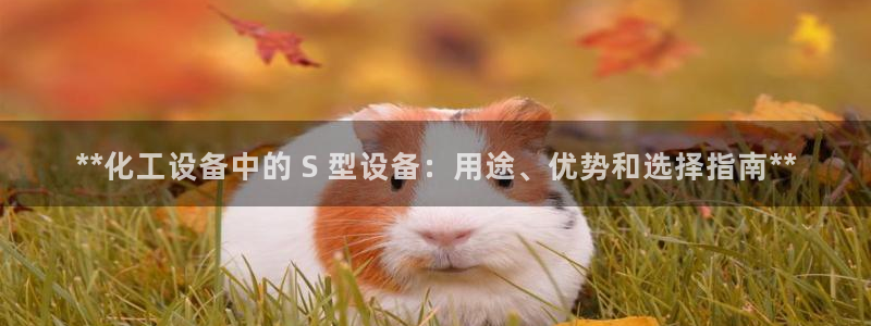 新城平台登录入口官网网址查询