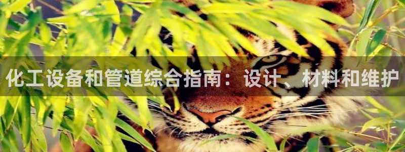 新城平台线路登录不上去