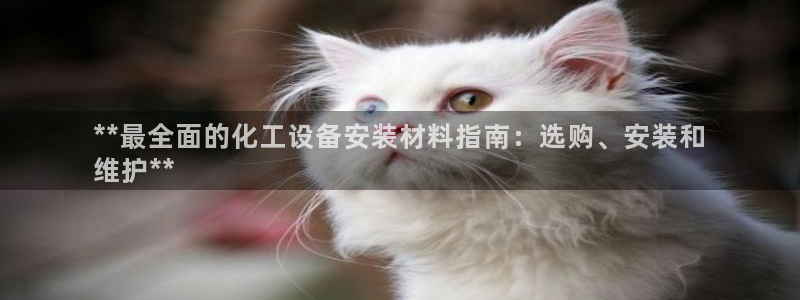 新城平台是干嘛的公司