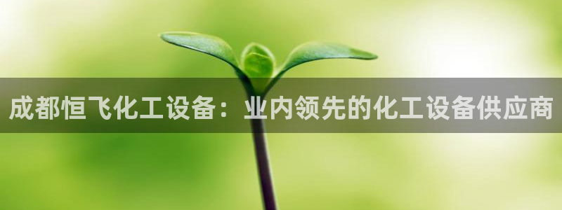 新城平台登录入口官网首页查询