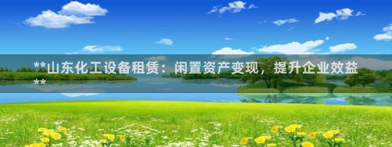 新城平台线路登录不上去怎么办呀