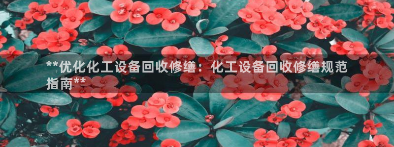 新城平台官网首页登录