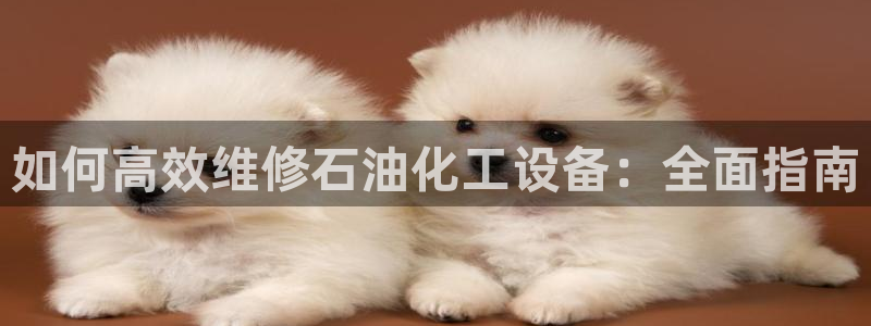 新城平台线路登录不上去了怎么回事