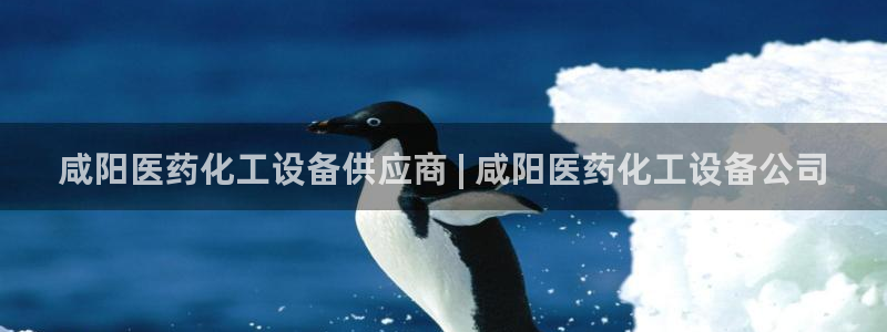 新城平台开户