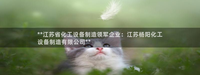 新城平台注册