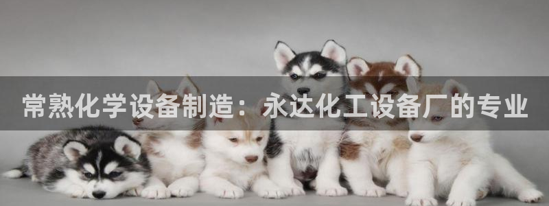 新城平台官网注册流程