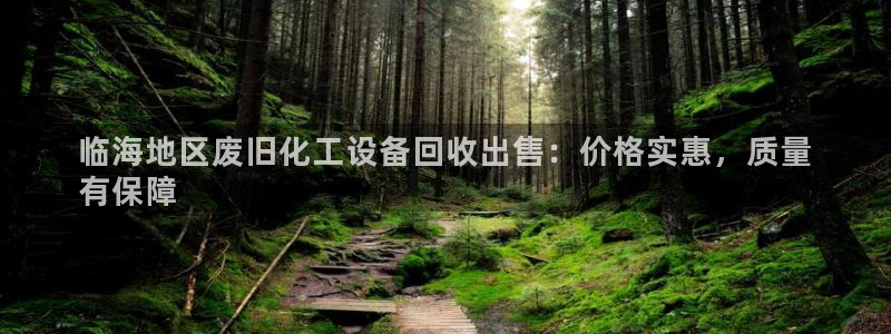 新城平台注册网址是什么